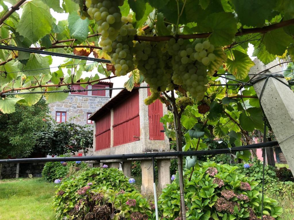 Quinta De Maderne Villa Felgueiras Ngoại thất bức ảnh