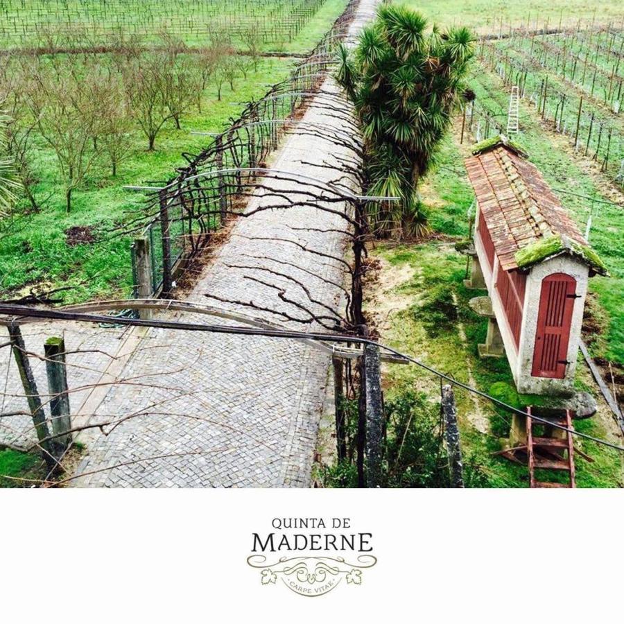 Quinta De Maderne Villa Felgueiras Ngoại thất bức ảnh