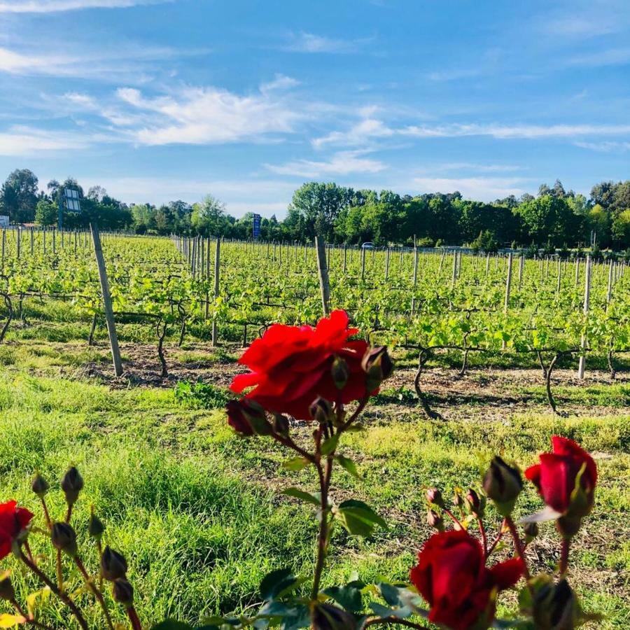 Quinta De Maderne Villa Felgueiras Ngoại thất bức ảnh